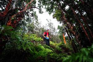 BIB: 
                            <button type="button" onclick="openModal(26203011)" class="btn btn-primary btn-sm float-right btn-popup" data-toggle="modal" data-target=".modal-high-quality">
                        <i class="fas fa-shopping-cart"></i> Add to Cart
                    </button>
                                            <button type="button" onclick="isThisMe(26203011, true)" class="btn btn-success btn-sm float-right btn-popup btn-isme hidden" data-toggle="tooltip" data-placement="bottom" title="นี่คือรูปของคุณใช่ไหม คลิกที่นี่เพื่อเอาเข้าอัลบั้ม">
                        <i class="fas fa-plus"></i> Add to album
                    </button>
                    <button type="button" onclick="isThisMe(26203011, false)" class="btn btn-warning btn-sm float-right btn-popup btn-isnotme hidden">
                        <i class="fas fa-ban"></i> Remove from album
                    </button>